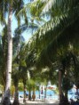 /album/cebu/a2013-10-18-06-48-36-jpg/